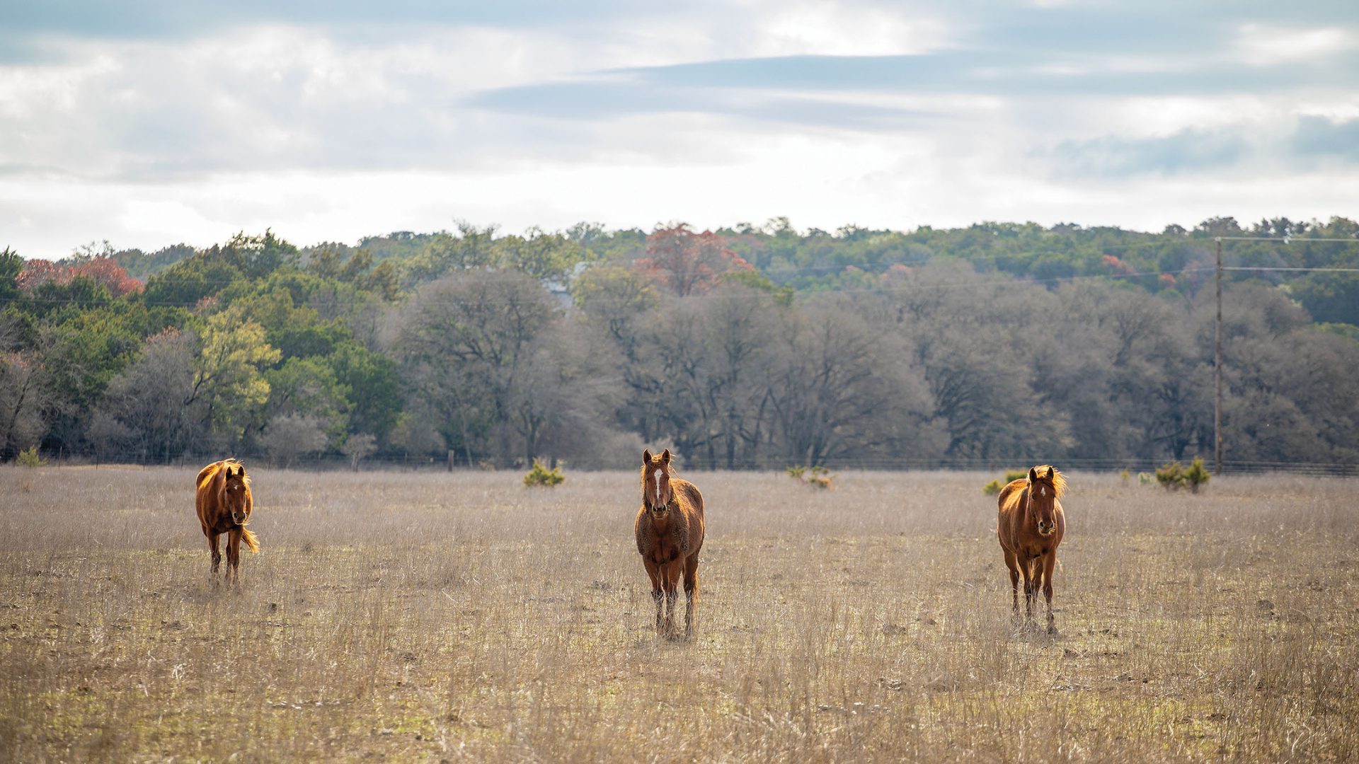Kendall Scenic Ranch